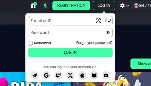 Log In via the Official Website